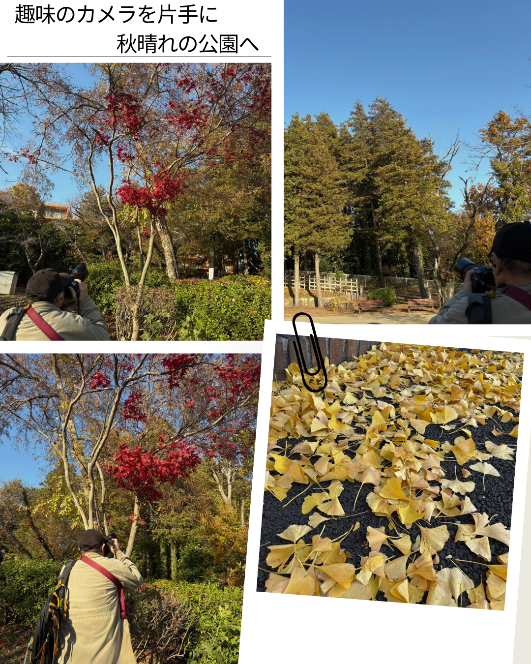 ��̃J�����Ў�ɏH����̌�����